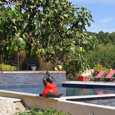 Les Jardins De Santa Giulia - Charmante Chambre D'Hote 维琪奥港 外观 照片