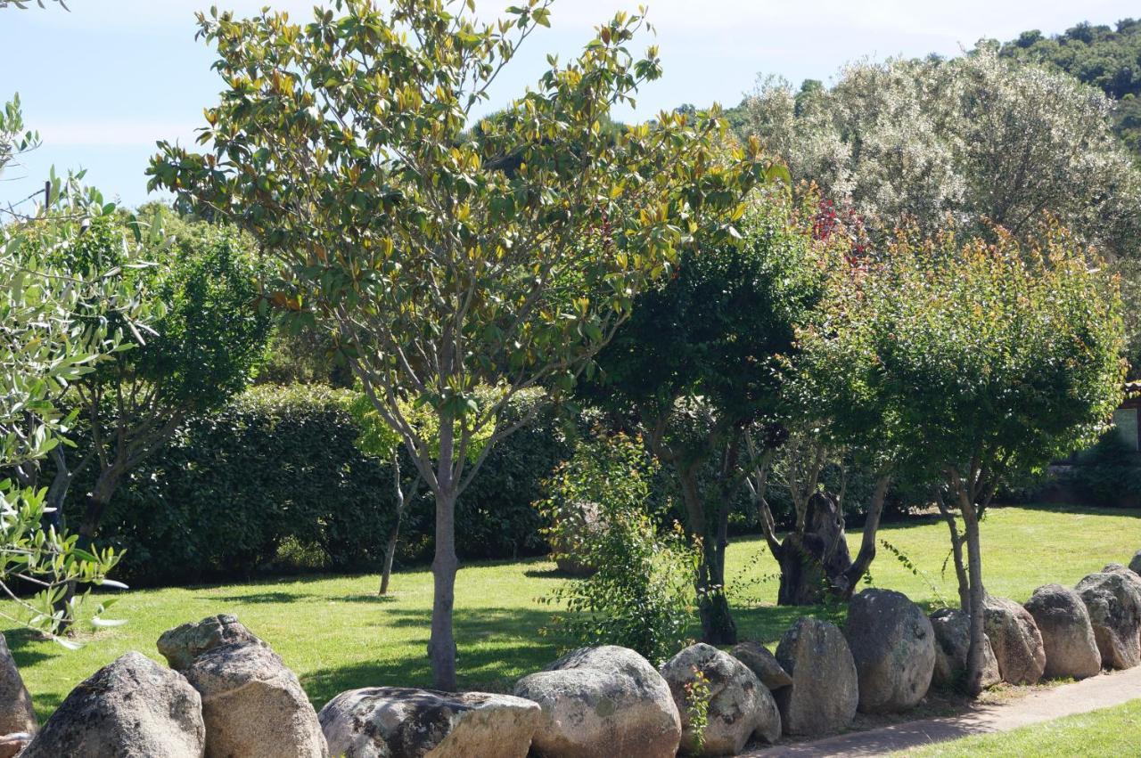 Les Jardins De Santa Giulia - Charmante Chambre D'Hote 维琪奥港 外观 照片