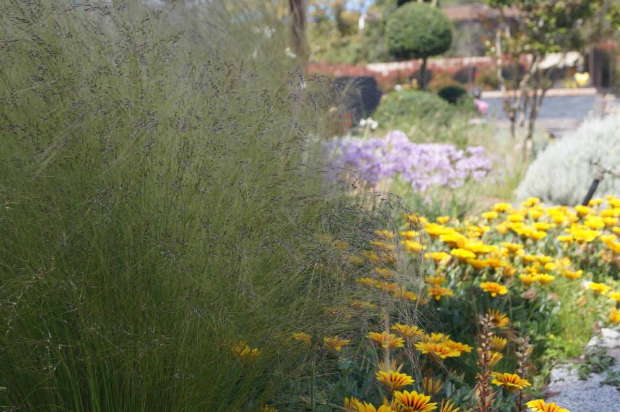 Les Jardins De Santa Giulia - Charmante Chambre D'Hote 维琪奥港 外观 照片